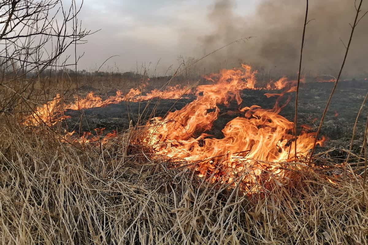 Картинка высокая пожароопасность