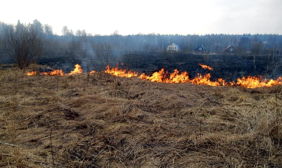 В Находке действует пожароопасный период