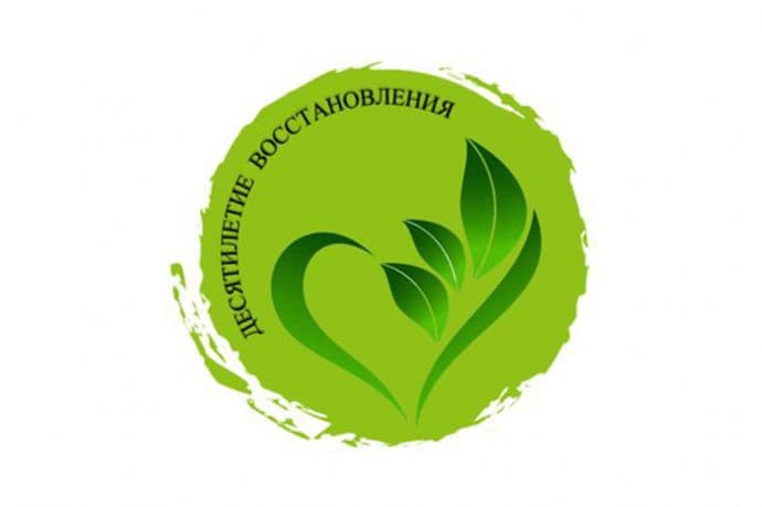 Всероссийское общество охраны природы проводит конкурс «Десятилетие восстановления»
